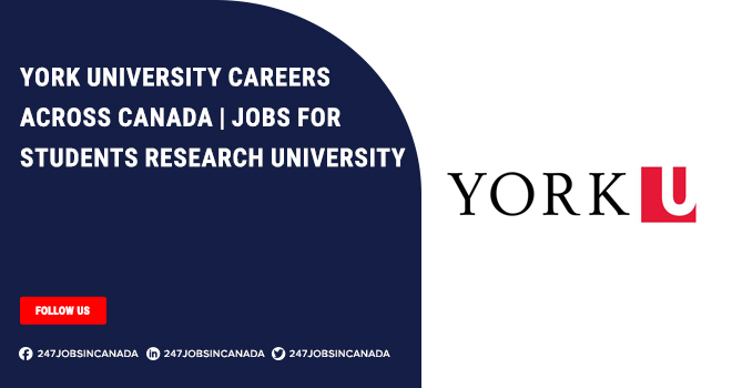 York University Careers